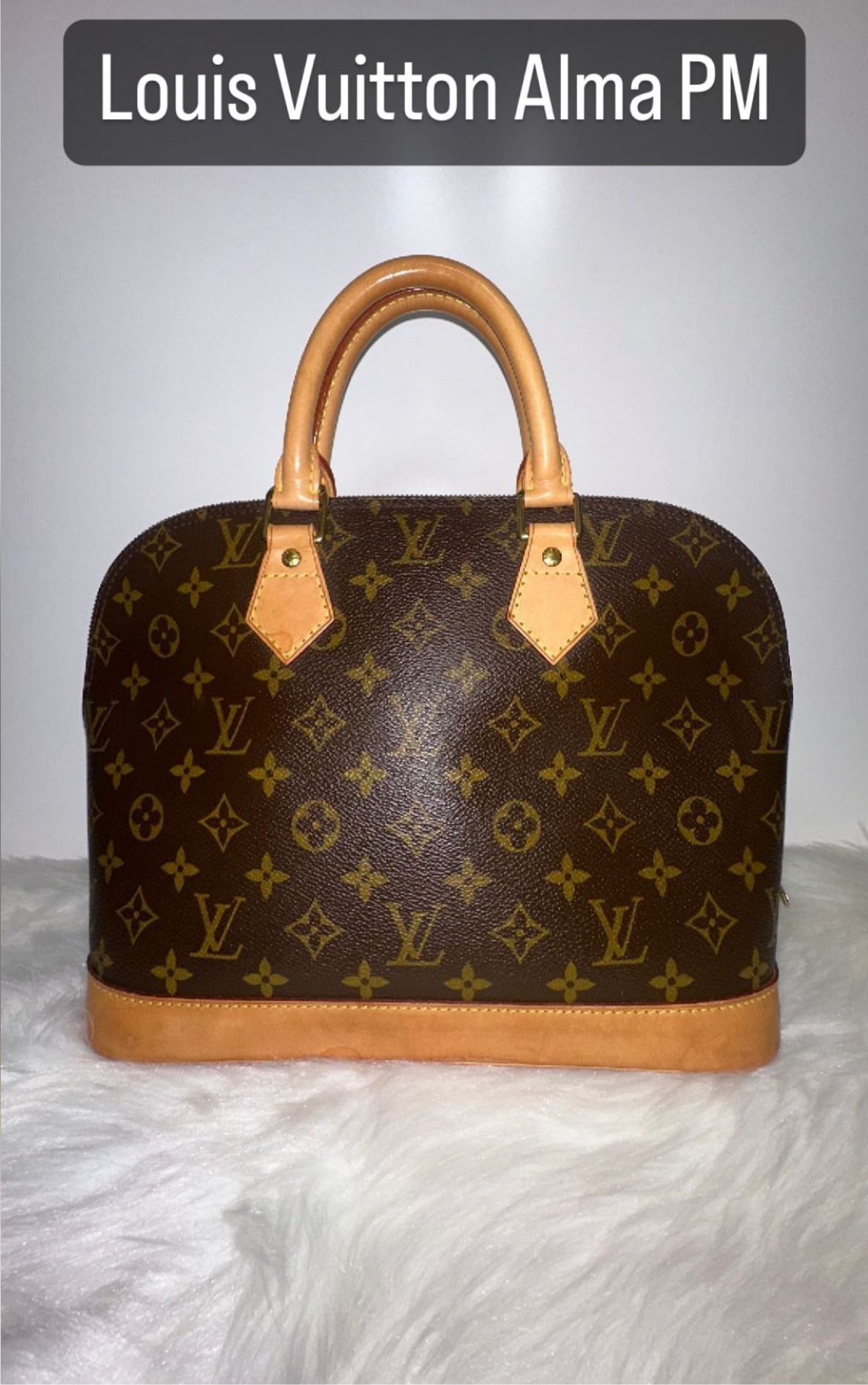 Louis Vuitton Alma PM