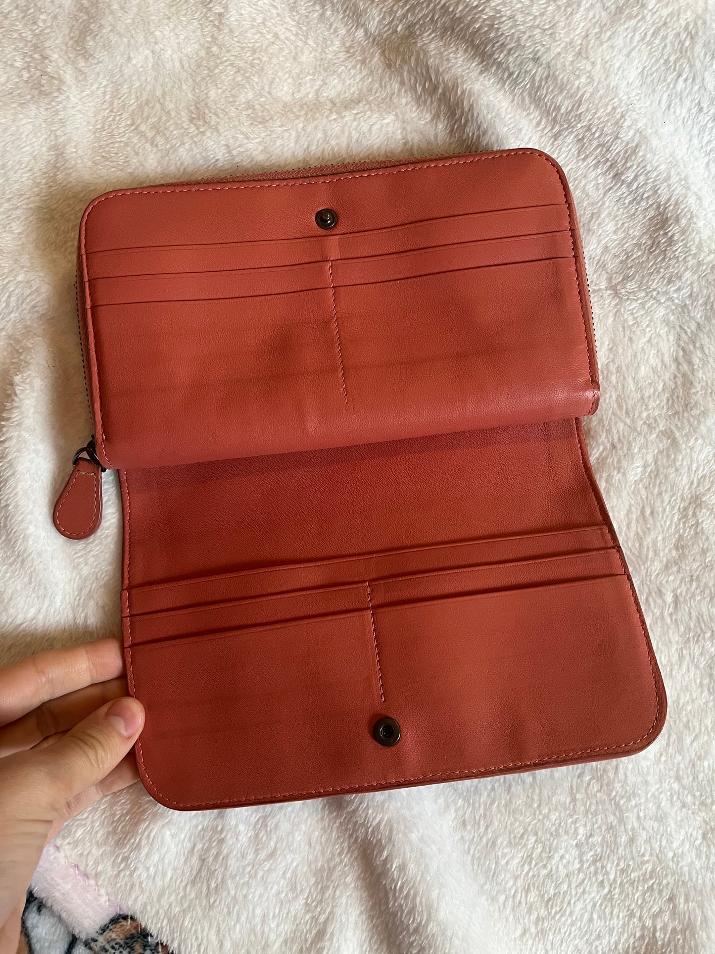 Bottega Venetta wallet