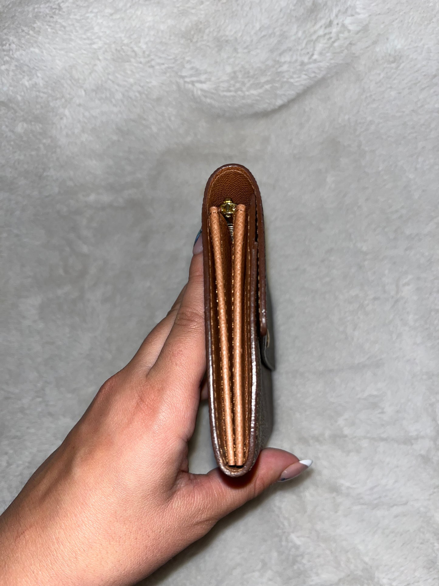 Louis Vuitton Wallet