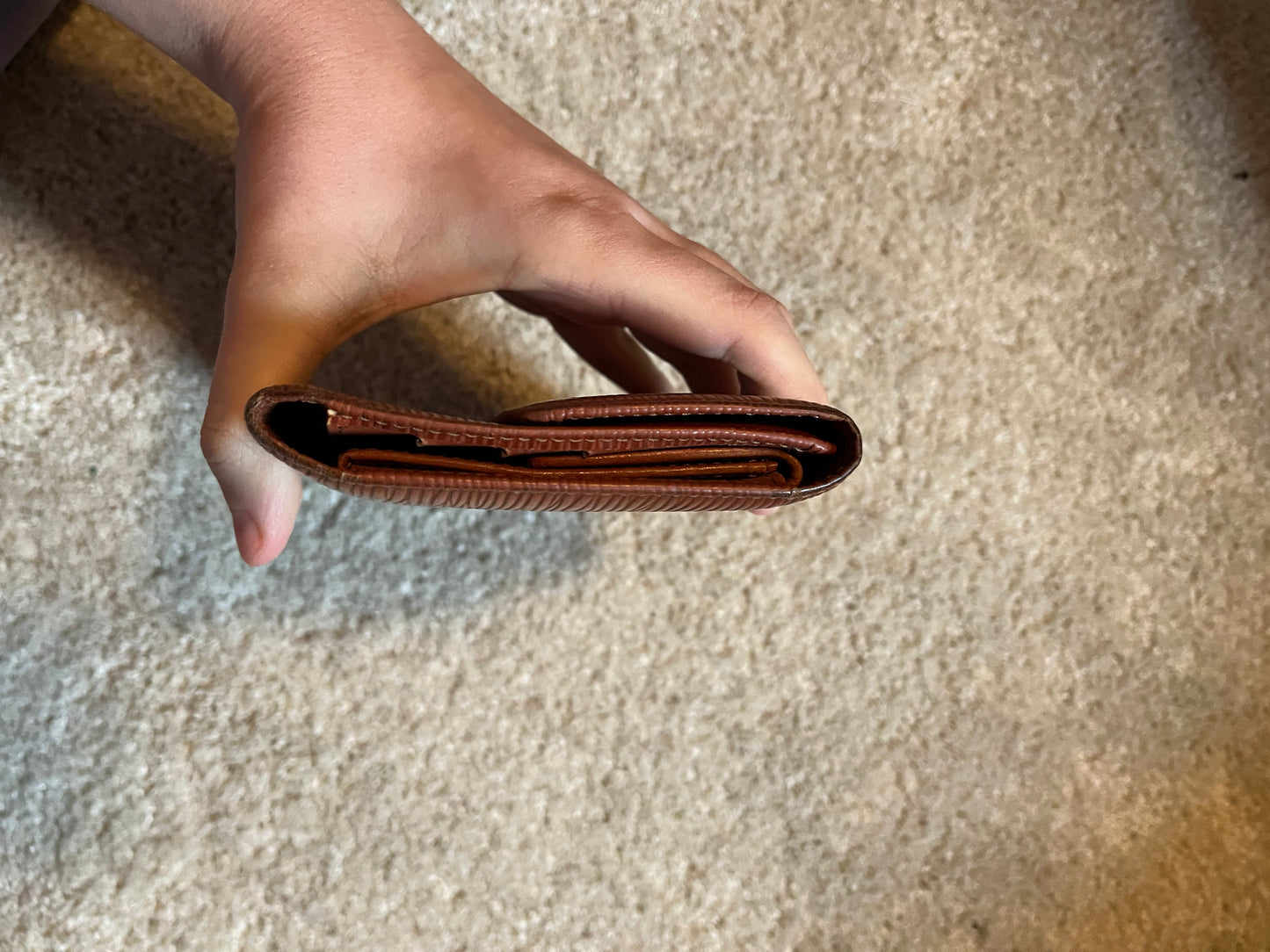 Louis Vuitton Wallet